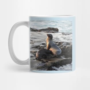 Wildlife gifts, California sea lion, marine life, nature Mug